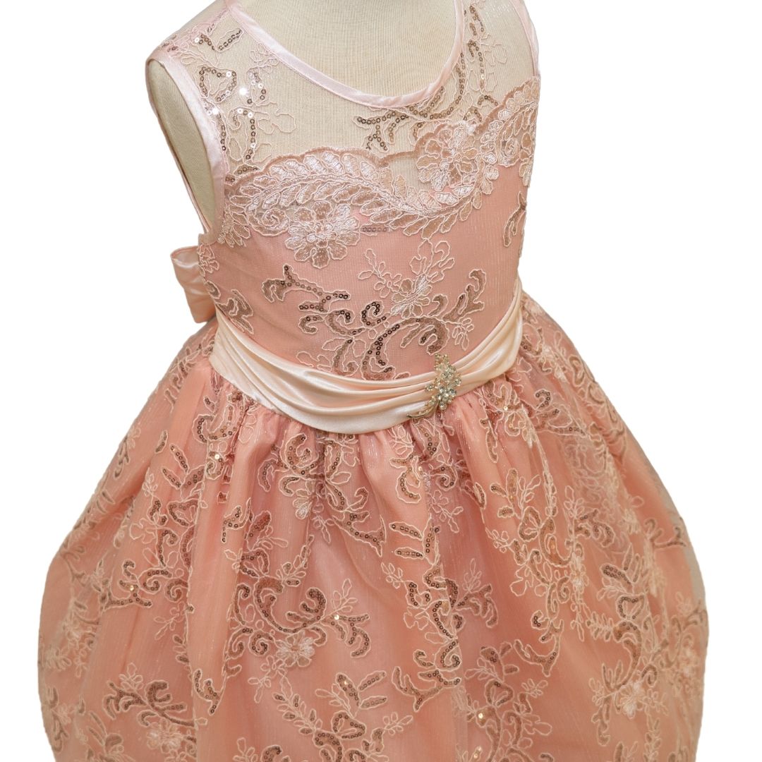 Party/Flower Girl Dress (D1550)-Girls-Chacho's Kids