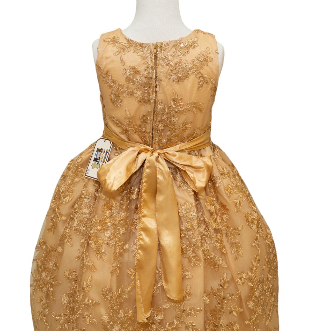 Party / Flower Girl Dress (D-1610)-Girls-Chacho's Kids