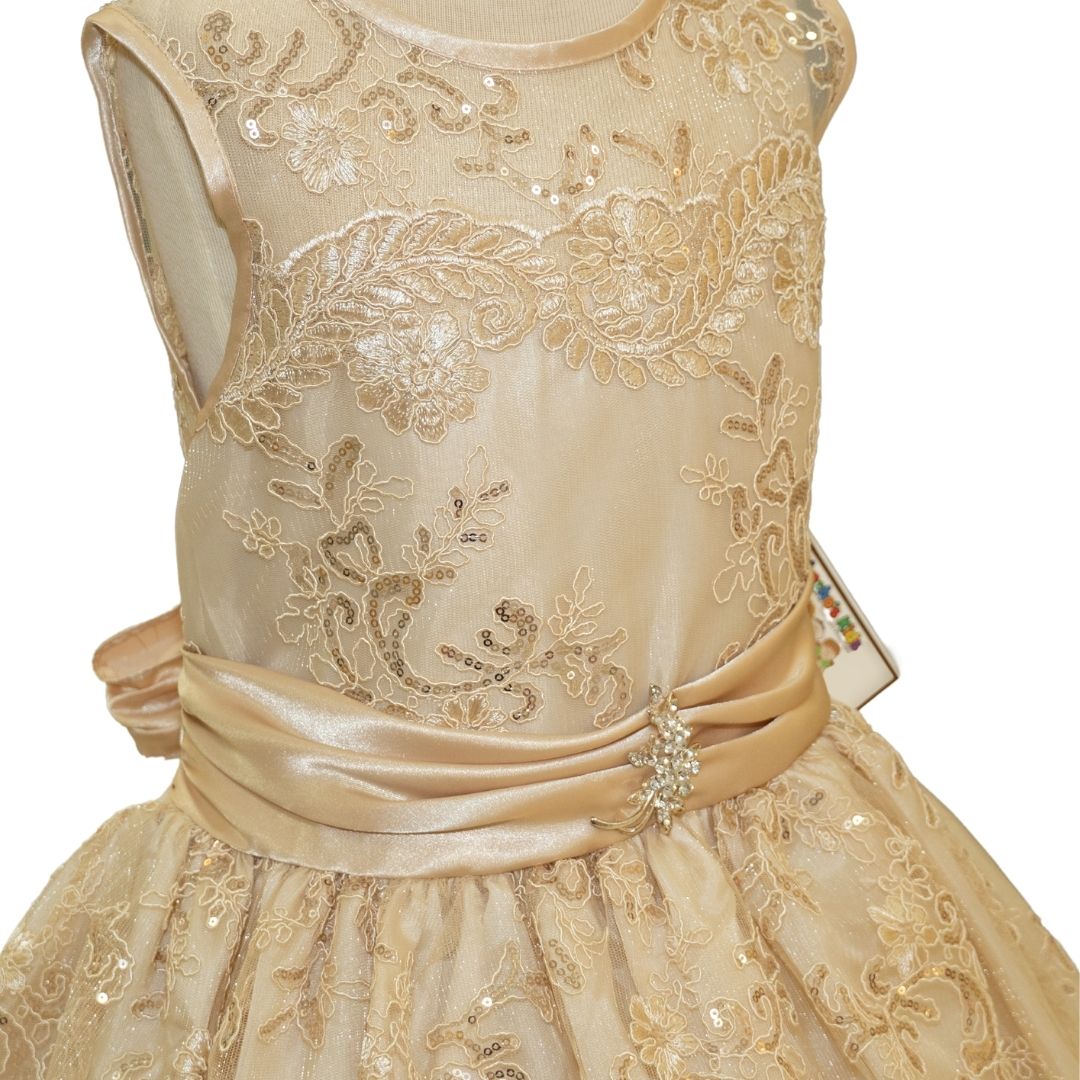 Party/Flower Girl Dress (D1550)-Girls-Chacho's Kids