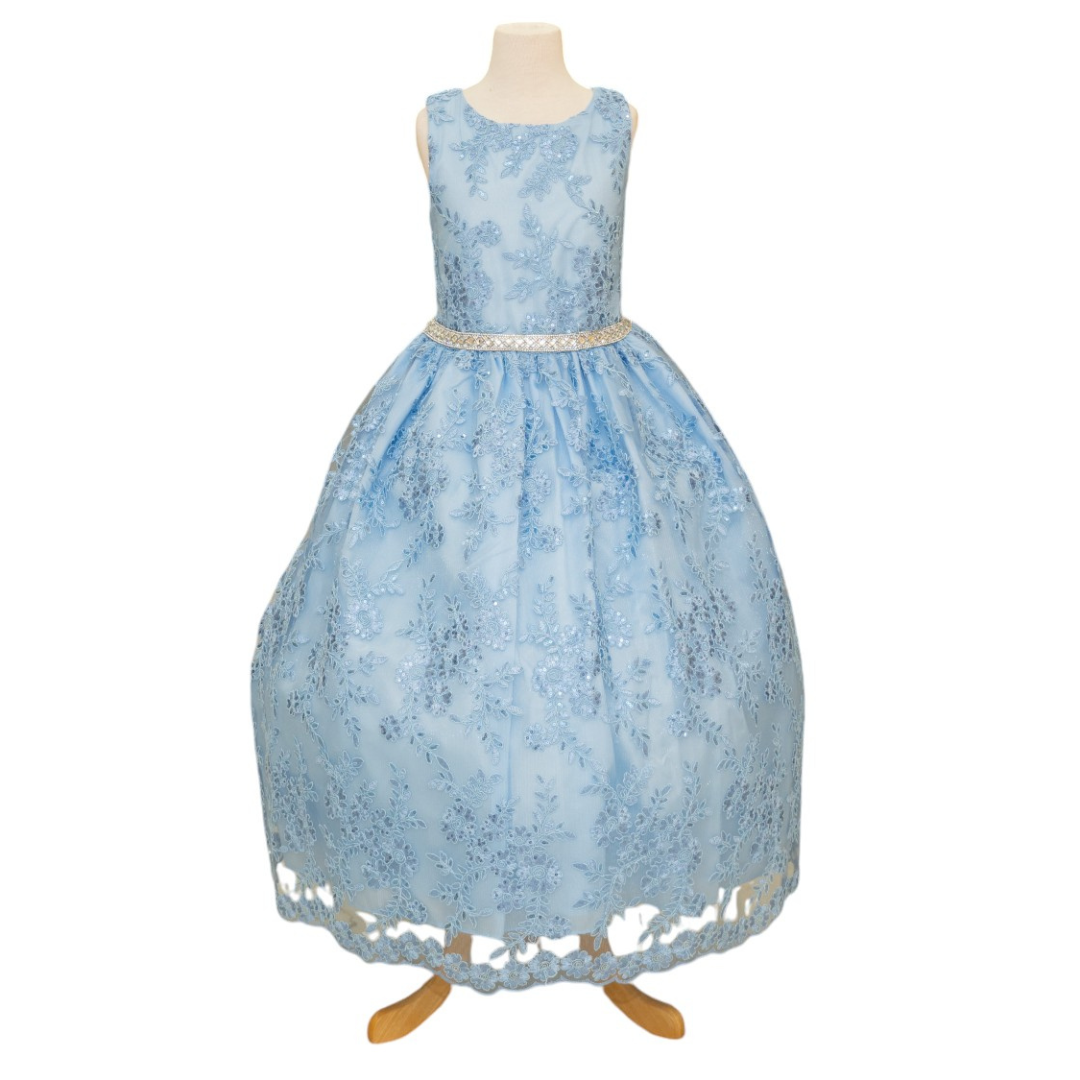 Party / Flower Girl Dress (D-1610)-Girls-Baby Blue-2-Chacho's Kids