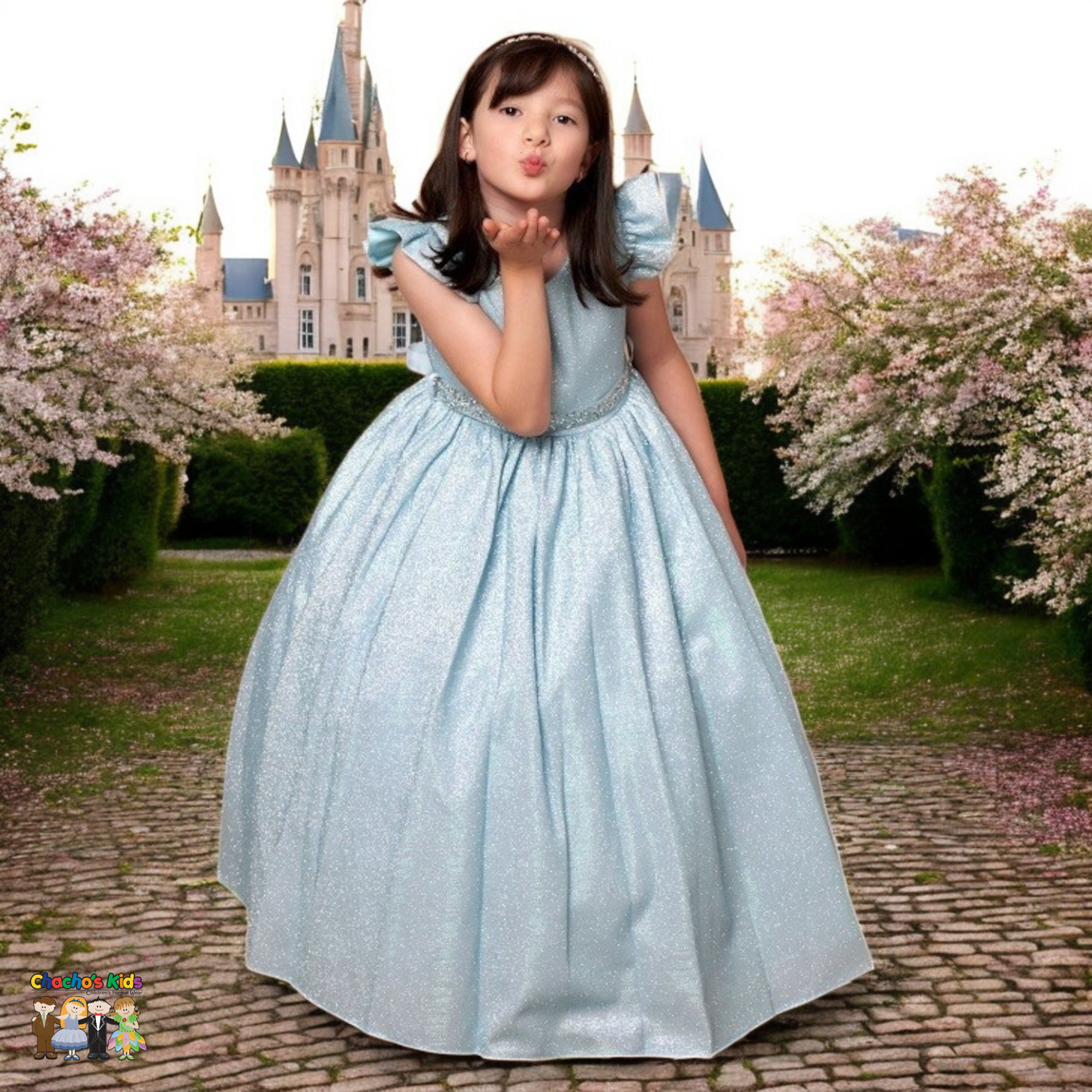 Ball Gown Dress (D-828)