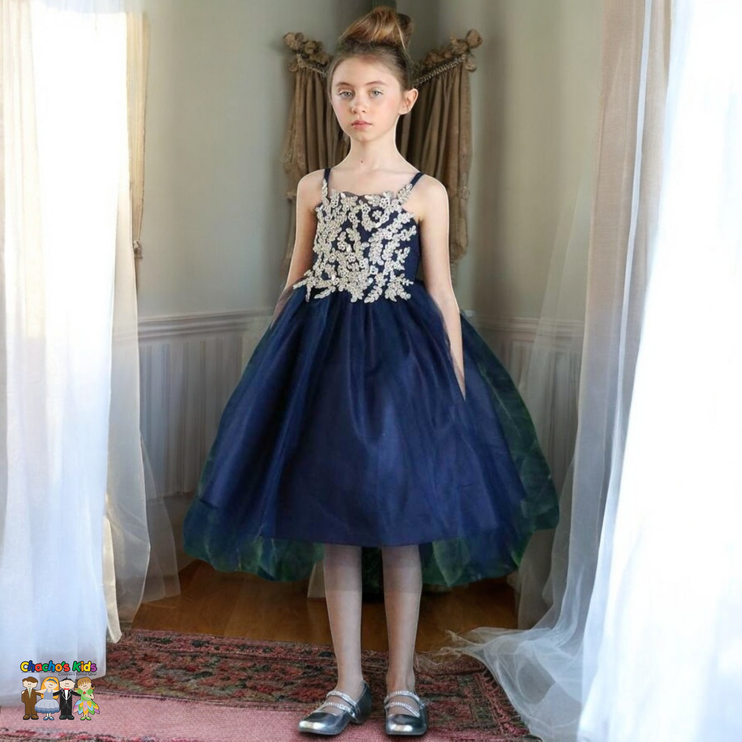 Party / Flower Girl Dress (D-778)