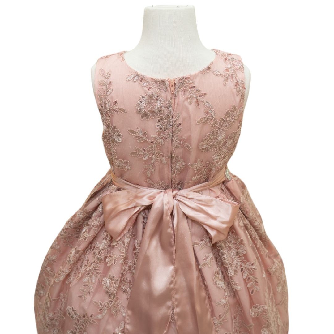 Party / Flower Girl Dress (D-1610)-Girls-Chacho's Kids