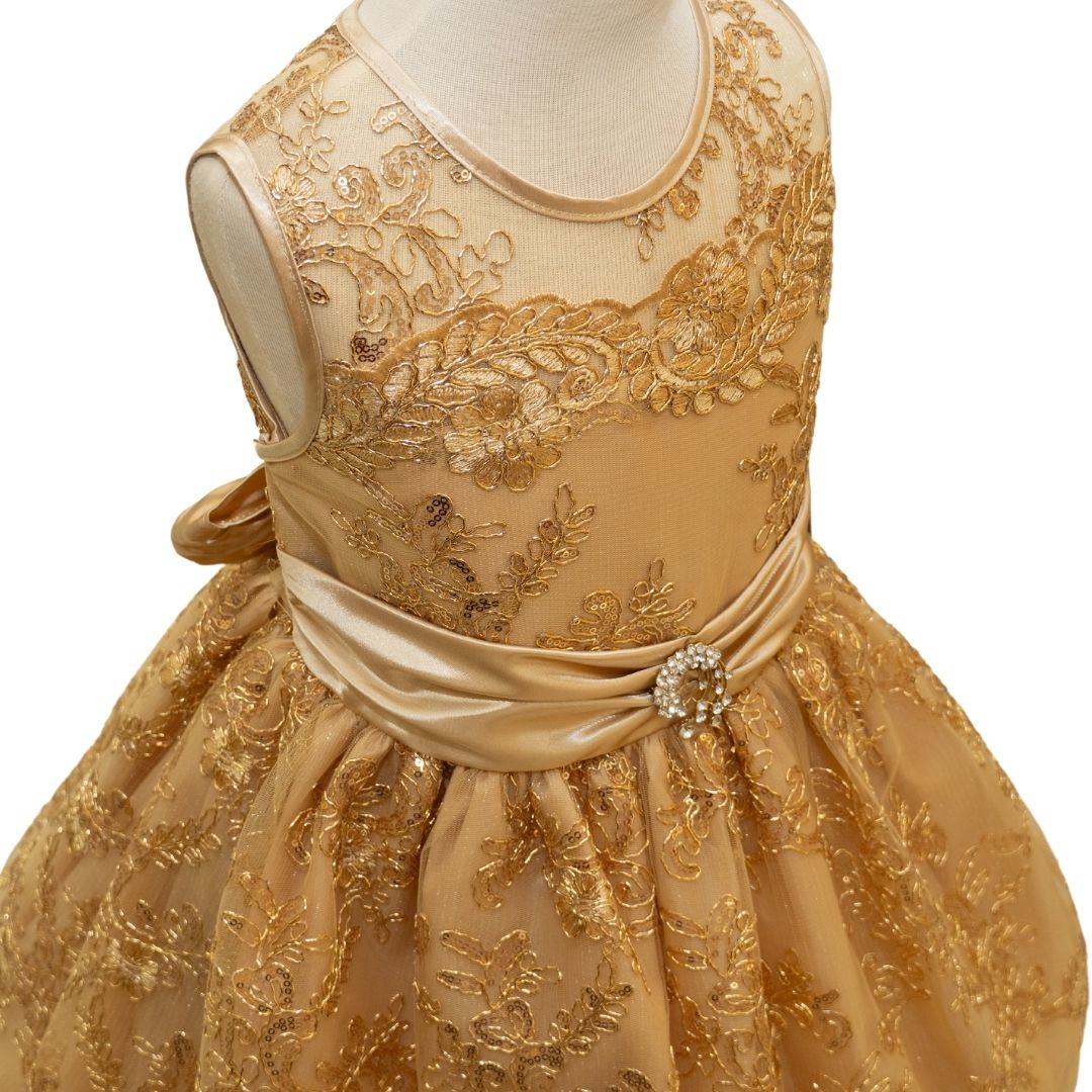 Party/Flower Girl Dress (D1550)-Girls-Chacho's Kids