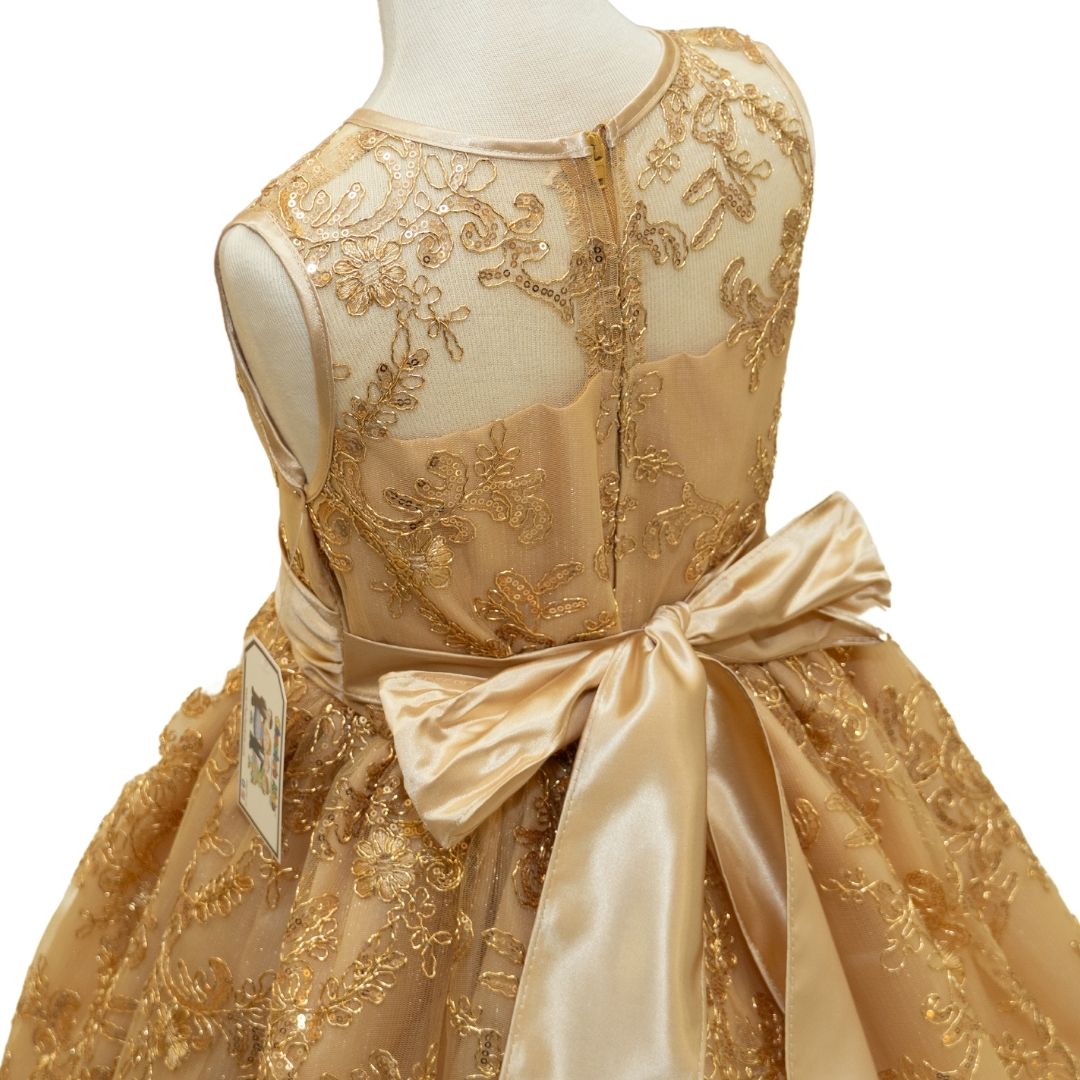 Party/Flower Girl Dress (D1550)-Girls-Chacho's Kids