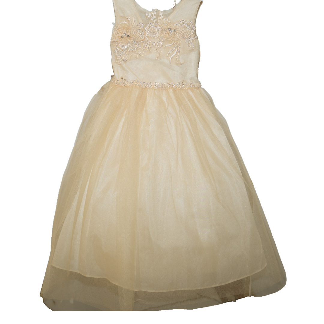 Party/Flower Girl Dress (D-833)-Girls-Champagne-2-Chacho's Kids
