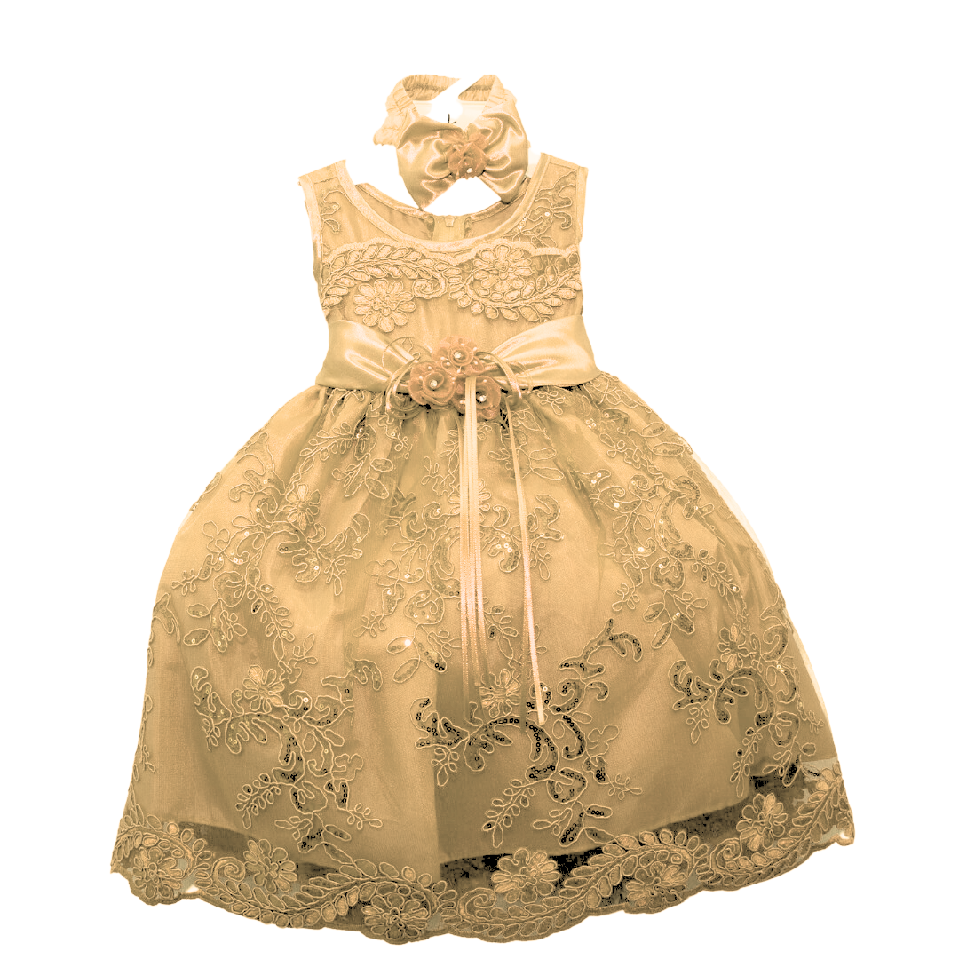 Baby Party/Flower Girl Dress (D1560)-Girls-Champagne-S-Chacho's Kids