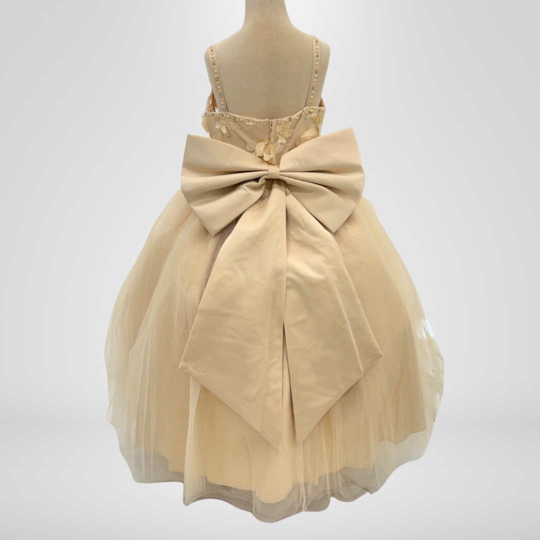 Ball Gown Dress (9014)-Girls-Chacho's Kids