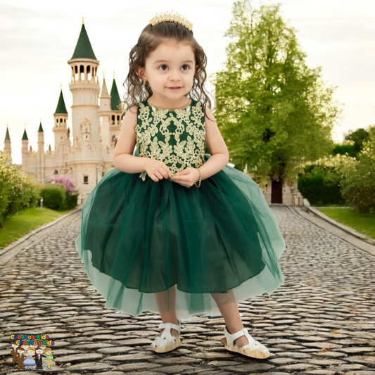 Baby Party / Flower Girl Dress (B-778)