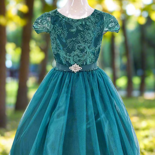 Girl Flower/Party Dress (404)