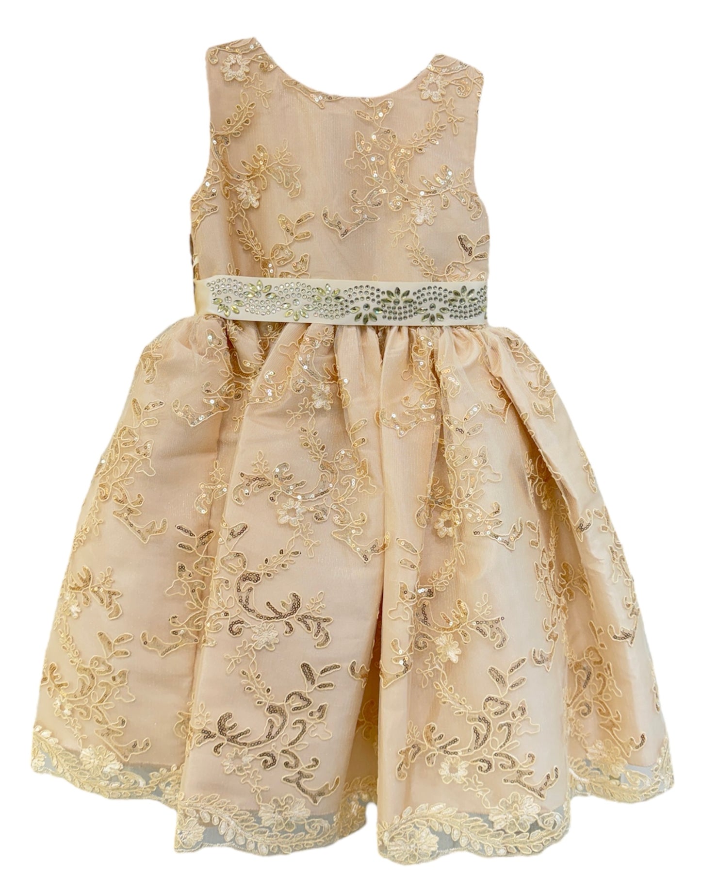 Party / Flower Girl Dress (Rosie)-Girls-Champagne-2-Chacho's Kids