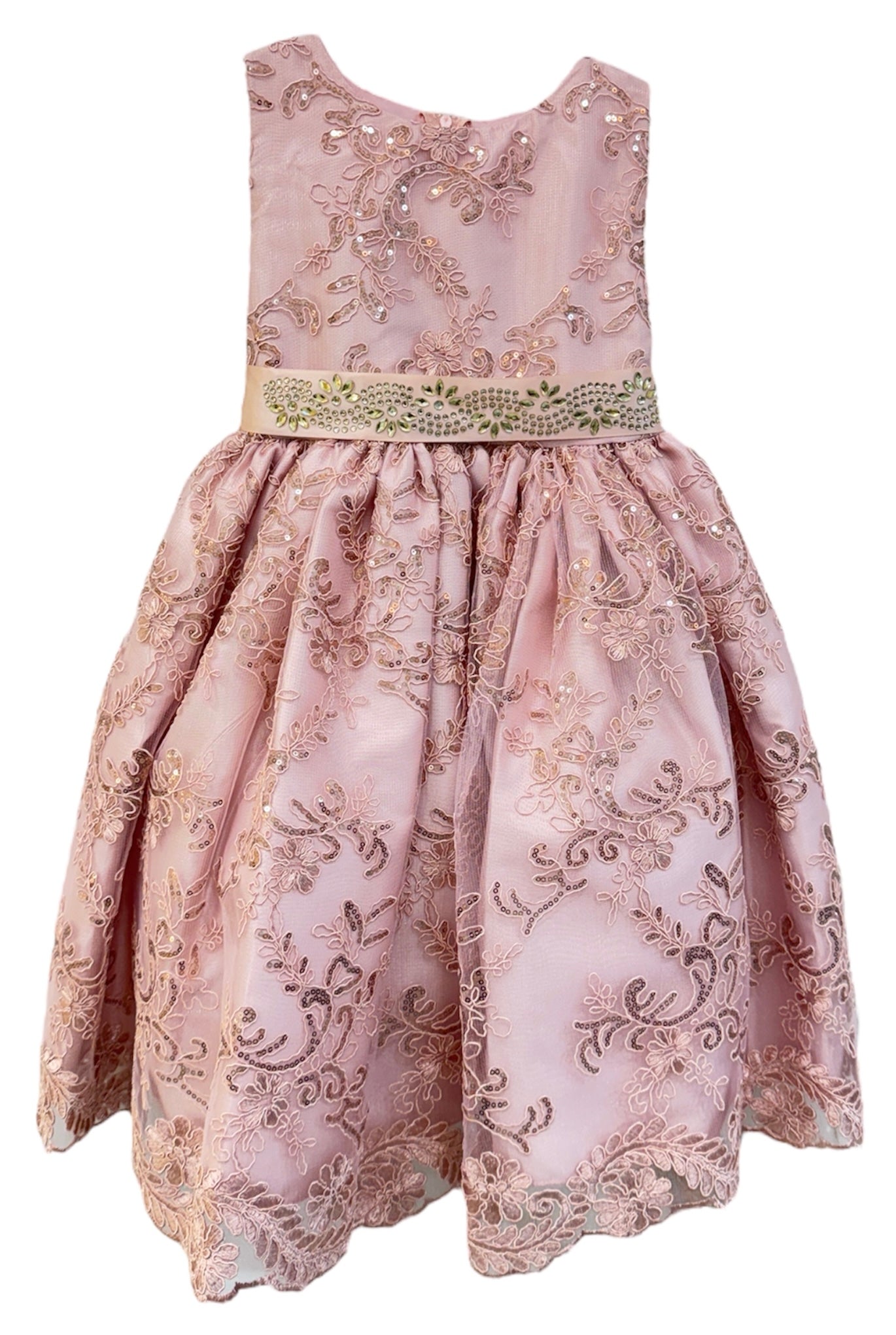 Party / Flower Girl Dress (Rosie)-Girls-Blush-2-Chacho's Kids