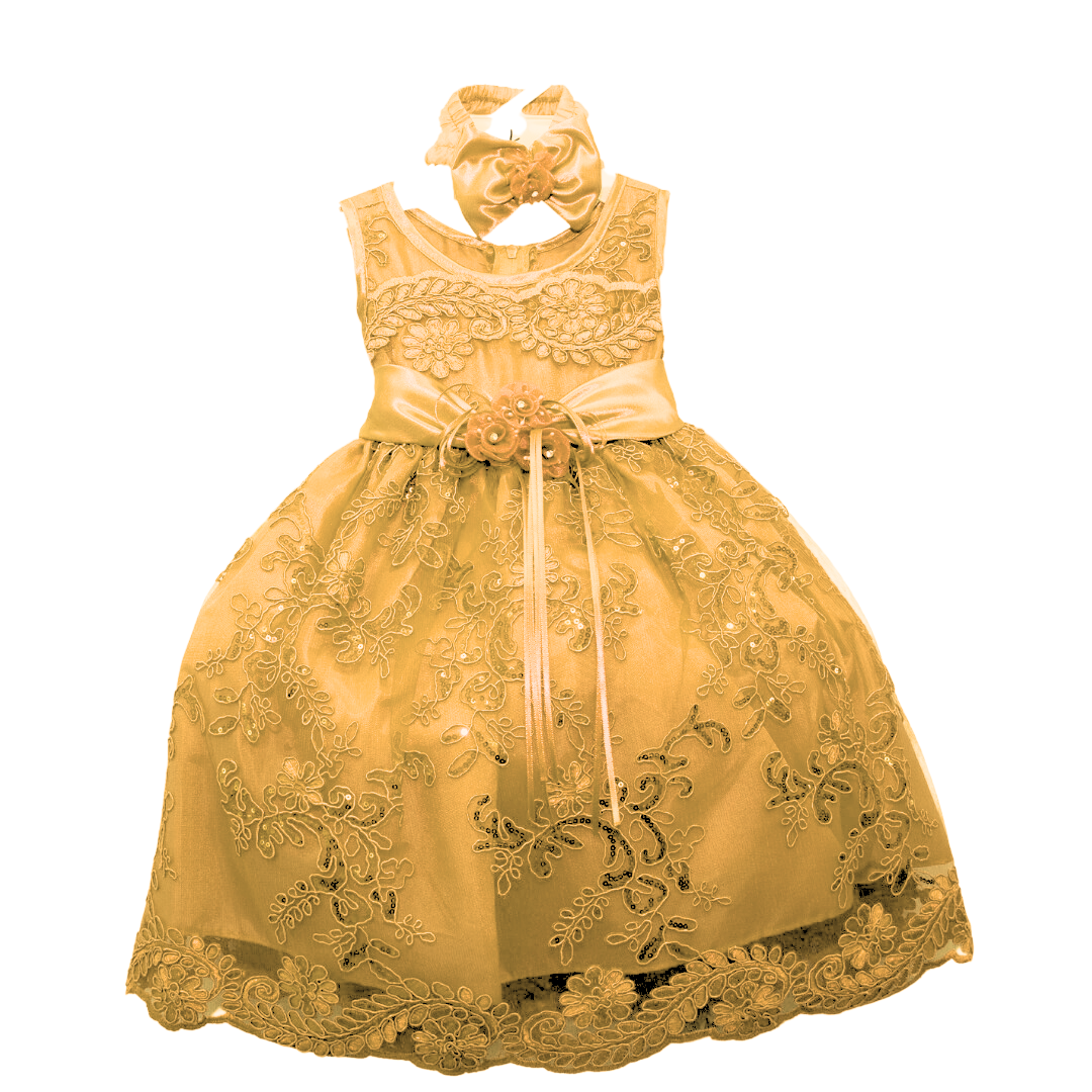 Baby Party/Flower Girl Dress (D1560)-Girls-Gold-S-Chacho's Kids