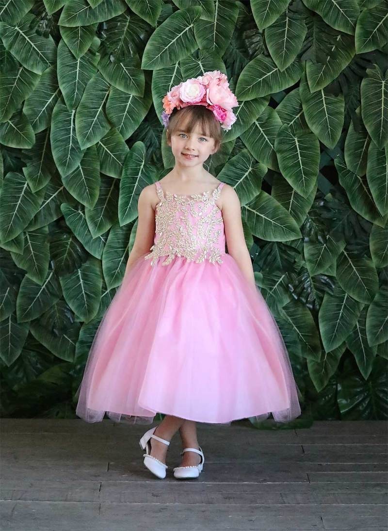 Party / Flower Girl Dress (D-778)-Girls-Dusty Pink/Gold-2-Chacho's Kids