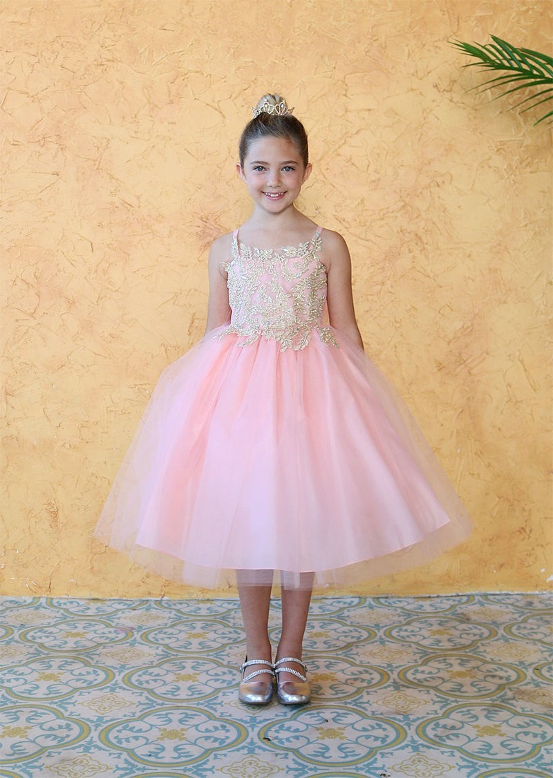 Party / Flower Girl Dress (D-778)-Girls-Blush/Gold-2-Chacho's Kids