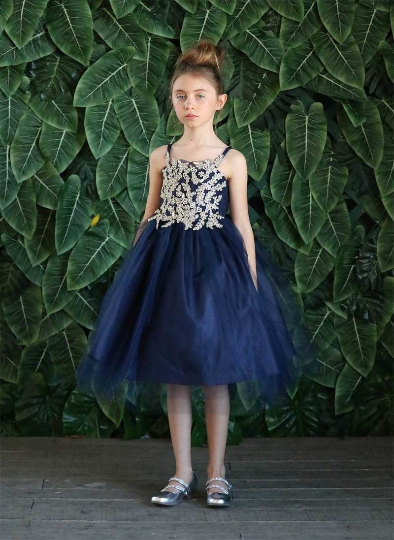 Party / Flower Girl Dress (D-778)-Girls-Chacho's Kids