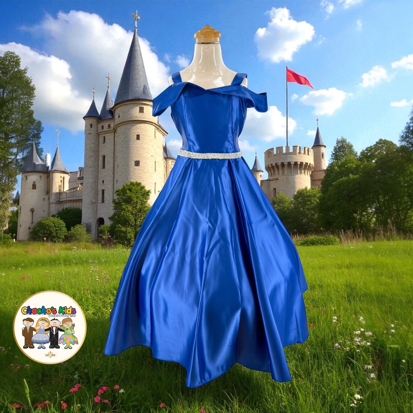 Ball Gown Dress (437)