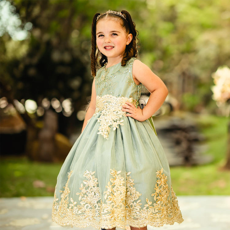 Party / Flower Girl Dresses