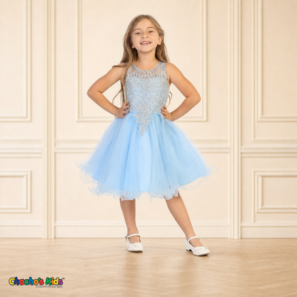 Girl modeling baby blue embroidered tulle party and flower girl dress 9004, front view