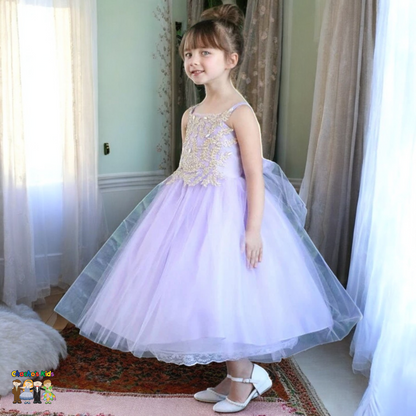 Party / Flower Girl Dress (D-778-Big)