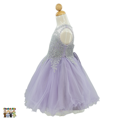 Embroidered Tulle Party Dress (9004)