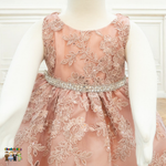 Baby Party / Flower Girl Dress (D-1616)-Girls-Chacho's-Kids
