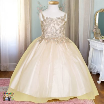 Party / Flower Girl Dress (D-778-Big)