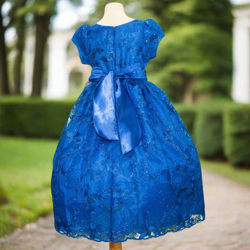 Party/Flower Girl Dress (D-1663)