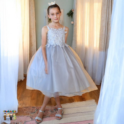 Party / Flower Girl Dress (D-778-Big)