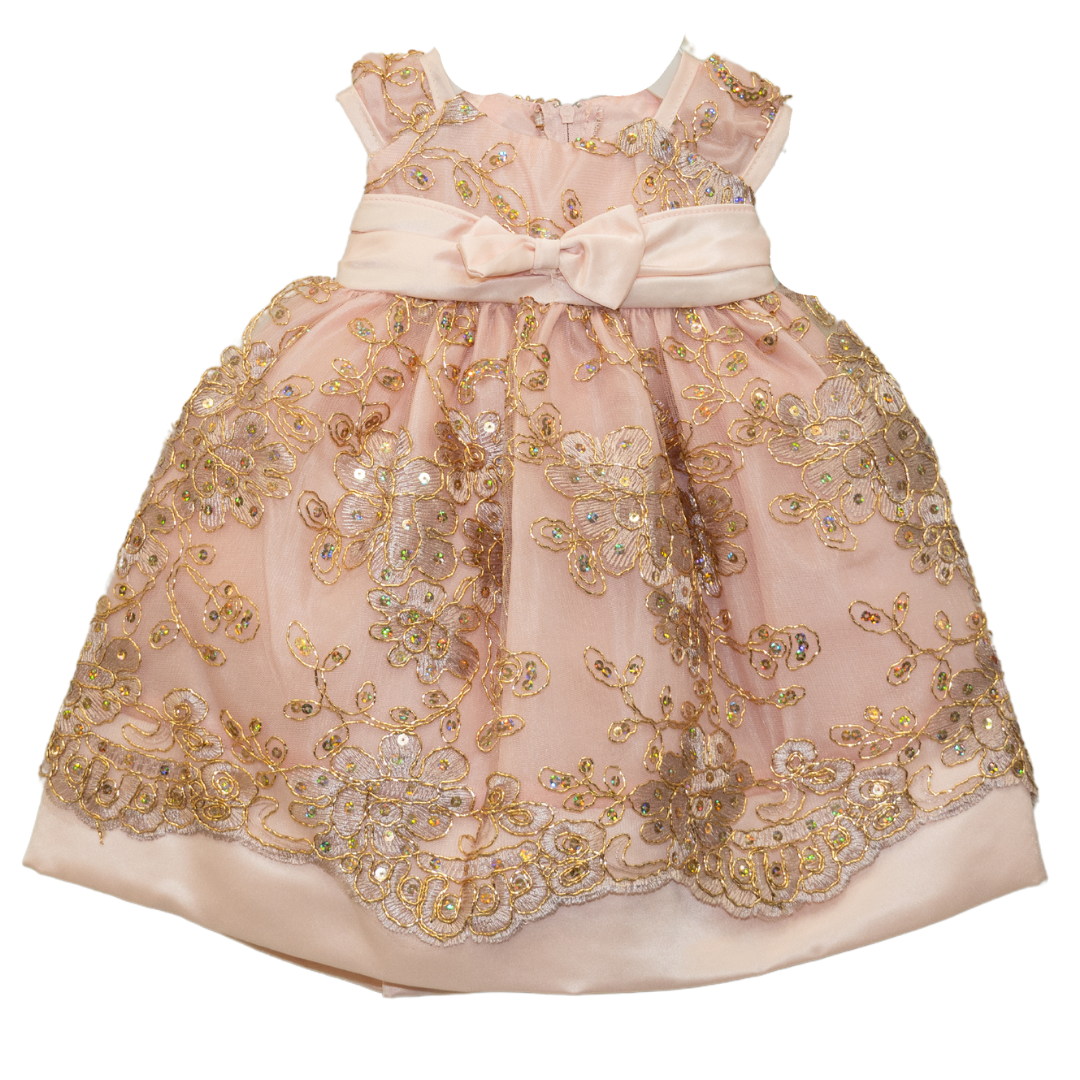 Baby Party / Flower Girl Dress (B191)