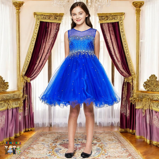 Party / Flower Girl Dress (5029)