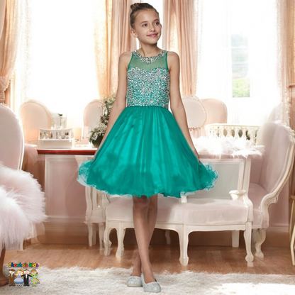 Party / Flower Girl Dress (8501)