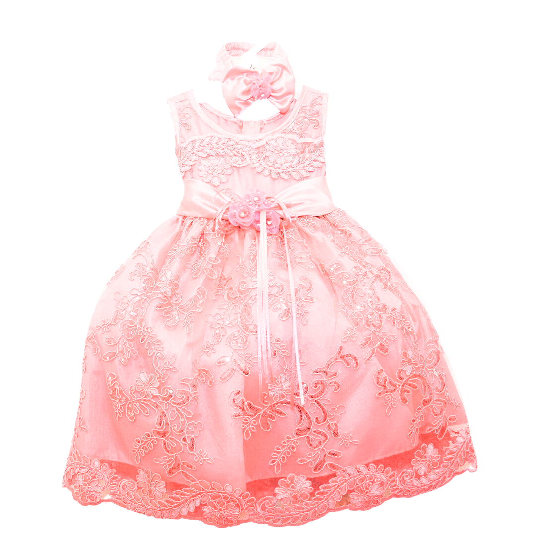 Baby Party/Flower Girl Dress (D1560)