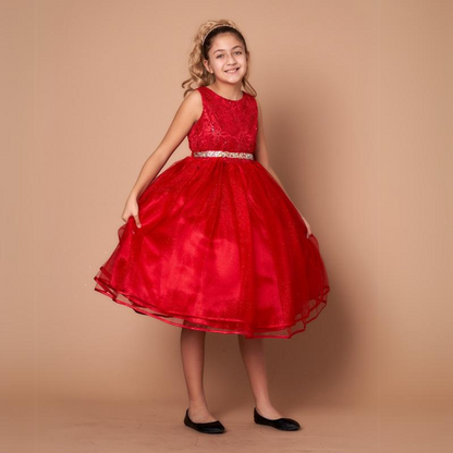 Party/Flower Girl Dress (D-813)