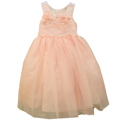 Party/Flower Girl Dress (D-833)