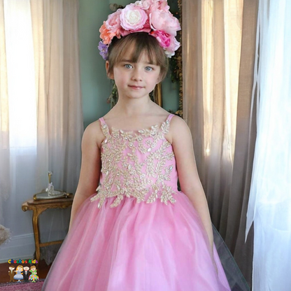 Party / Flower Girl Dress (D-778-Big)