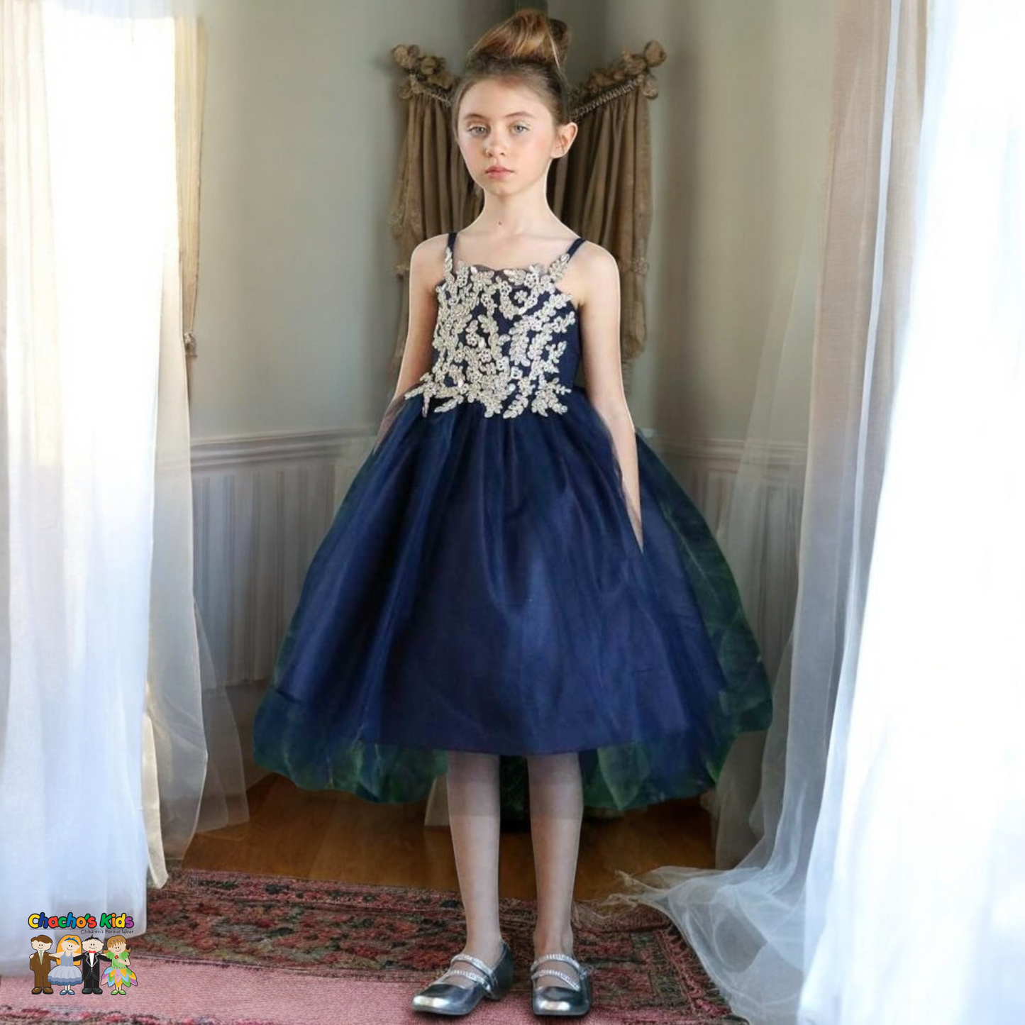 Party / Flower Girl Dress (D-778-Big)