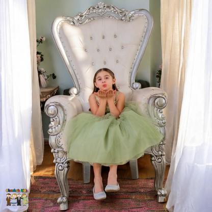 Party / Flower Girl Dress (D-778-Big)