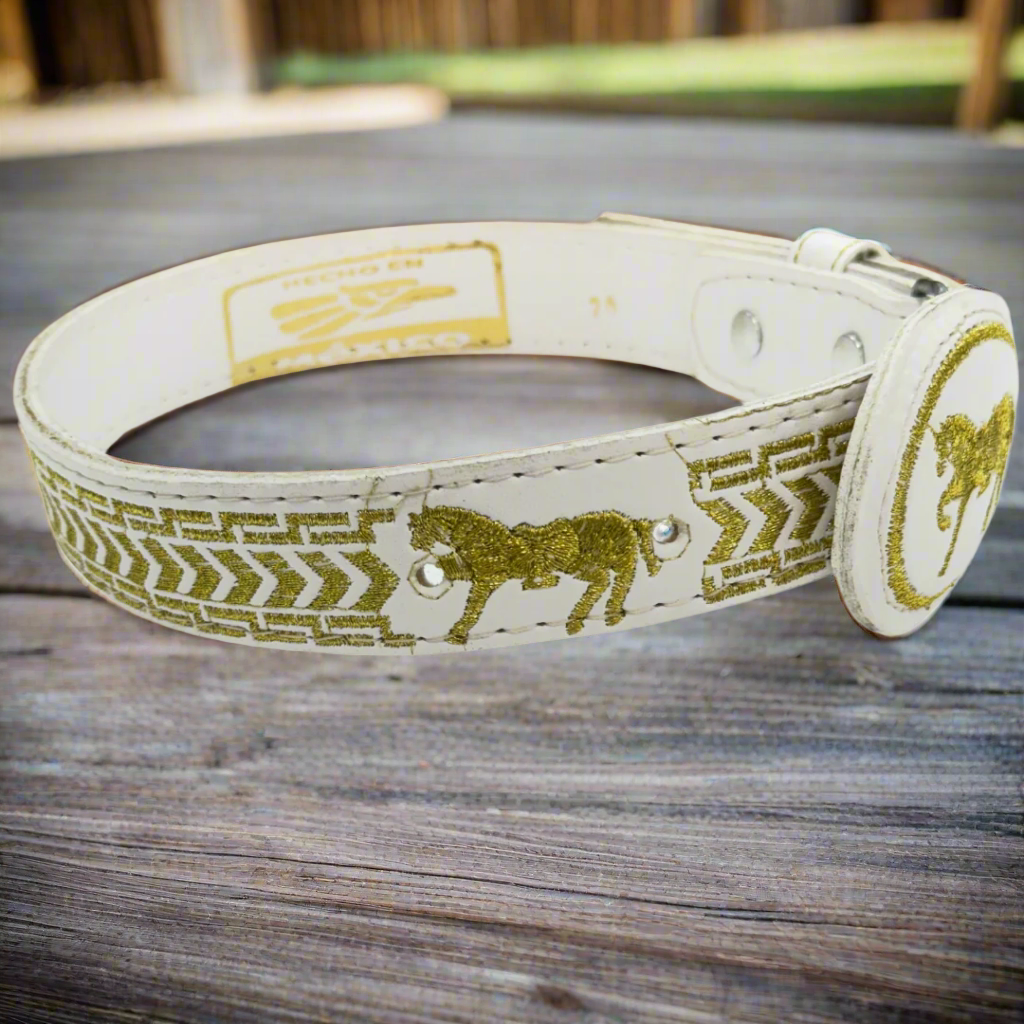 Boys Charro Belt, Gold Horse, Loop