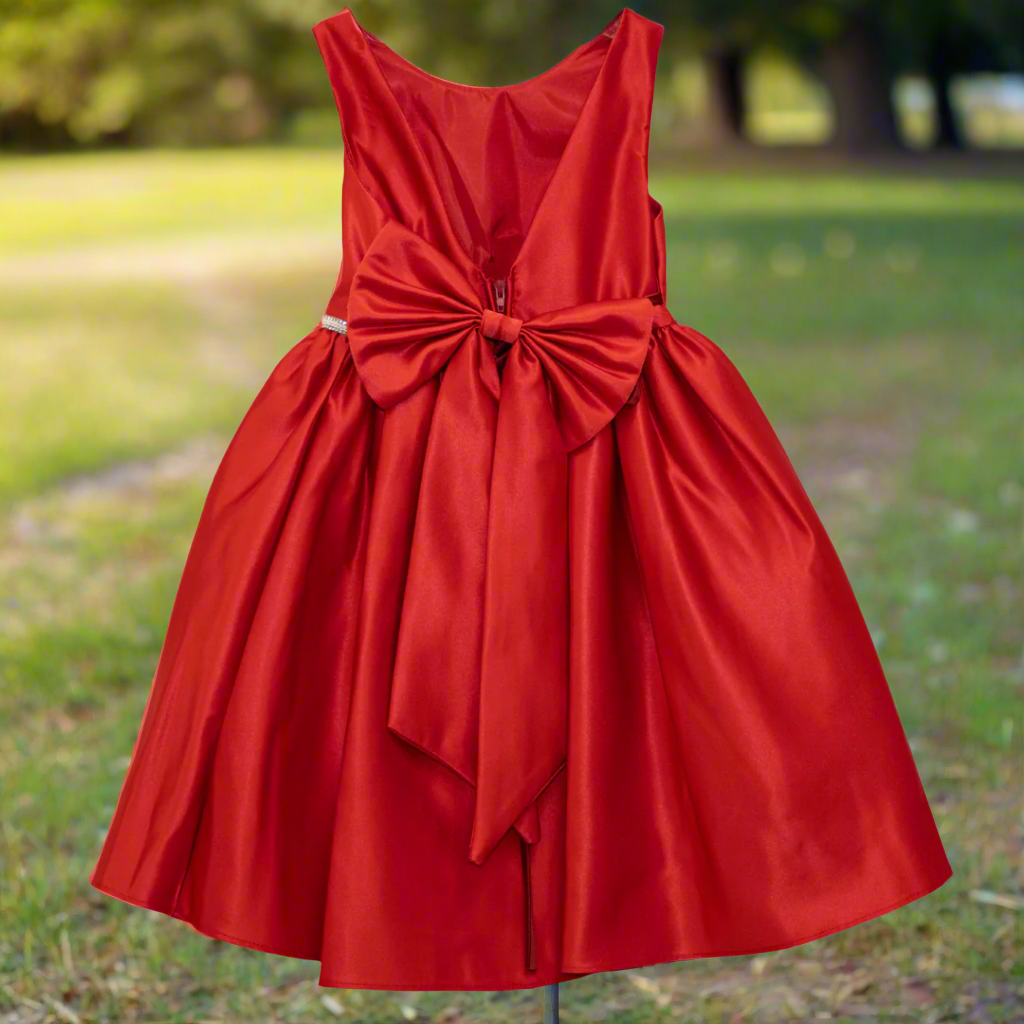 Party/Flower Girl Dress (266)