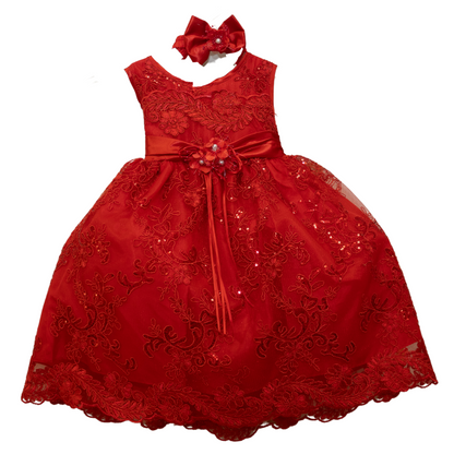 Baby Party/Flower Girl Dress (D1560)