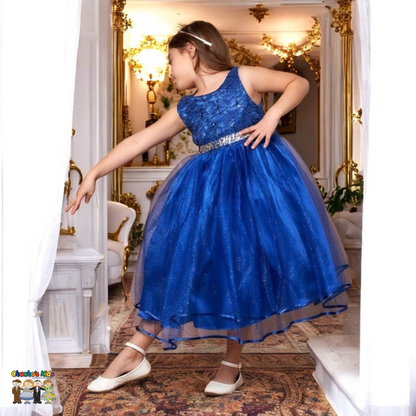 Party/Flower Girl Dress (D-813)