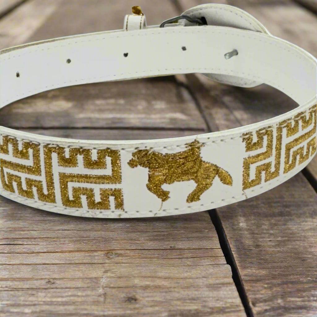 Boys Charro Belt, Gold Cowboy, Loop