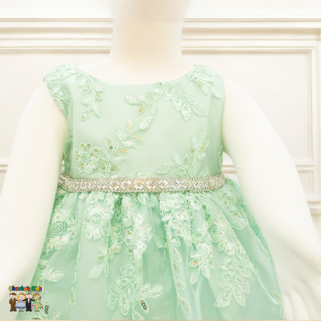 Baby Party / Flower Girl Dress (D-1616)