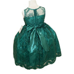 Party/Flower Girl Dress (D1550)-Girls-Chacho's Kids