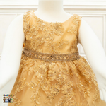 Baby Party / Flower Girl Dress (D-1616)-Girls-Chacho's-Kids