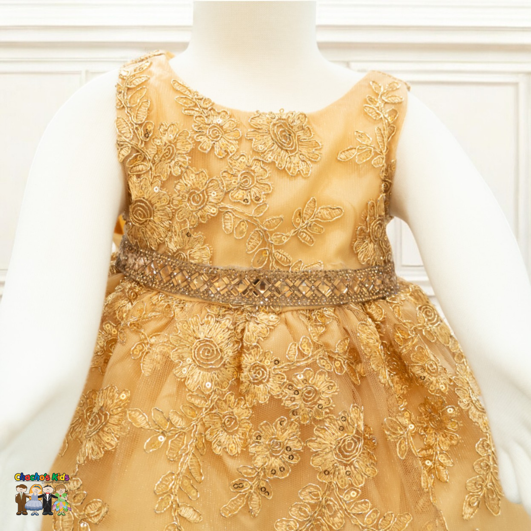 Baby Party / Flower Girl Dress (D-1616)-Girls-Chacho's-Kids