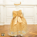 Baby Party / Flower Girl Dress (D-1616)-Girls-Chacho's-Kids