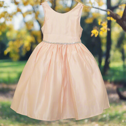 Party/Flower Girl Dress (266)