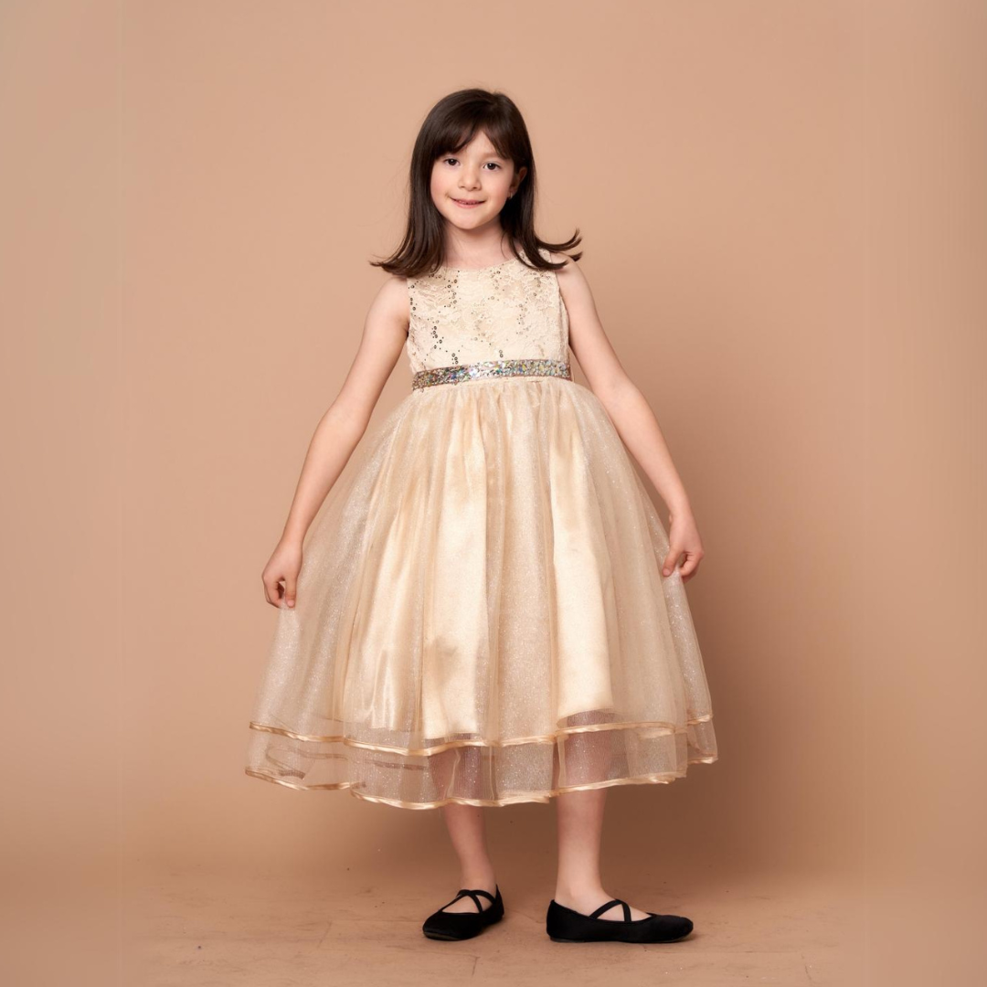 Party/Flower Girl Dress (D-813)